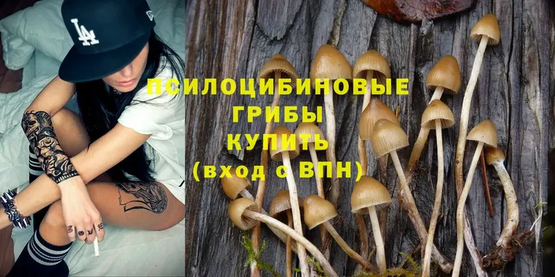 Галлюциногенные грибы Magic Shrooms  дарнет шоп  Палласовка 